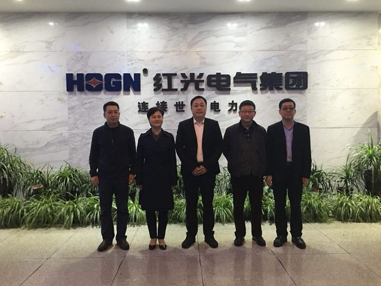 温州市质量手艺监视局局长朱云华一行莅临Z6尊龙凯时考察