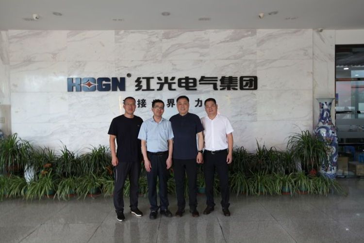 乐清市市场监视局刘勇局长一行莅临Z6尊龙凯时电气集团调研